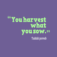 Ready for the&nbsp;harvest