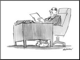 Less of the&nbsp;muddle