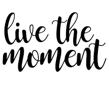 Dip your toe&nbsp;…